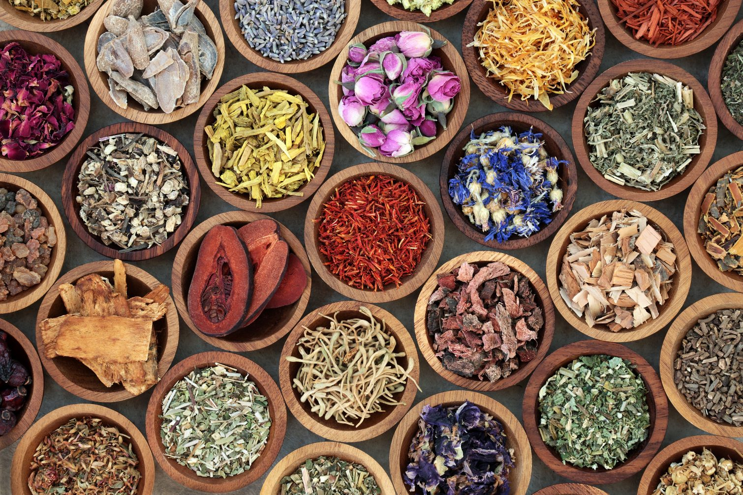 raditional Ayurvedic herbs including turmeric, ashwagandha, and tulsi—cornerstones of natural immunity- myhealthlogy.com